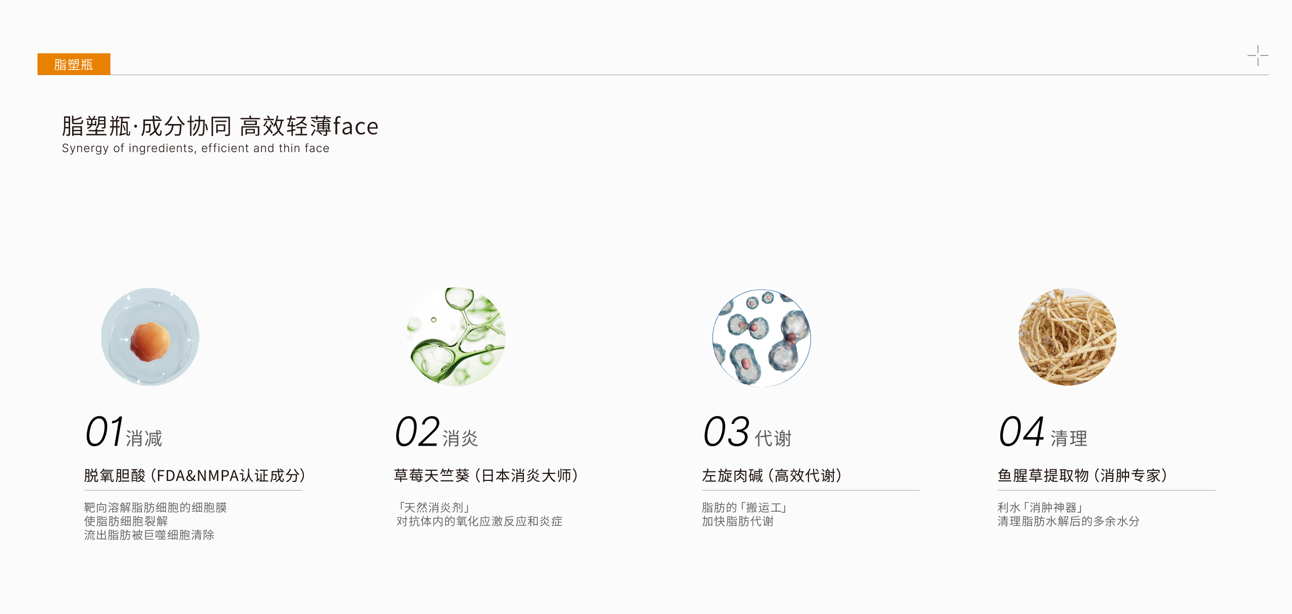 澳蕾诺OLENU | 脂塑瓶 | 脂塑瓶·成分协同高效轻薄face